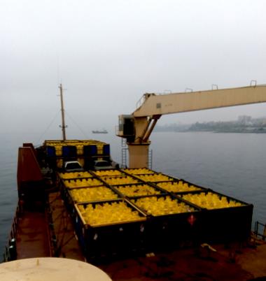 TRANSPORTE CARGA PELIGROSA